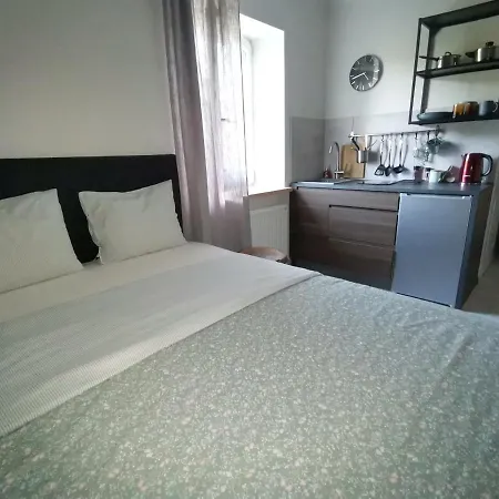 Motyl Apartamenty Studio Lub Pokoj Z Lazienka Bytom Exterior foto