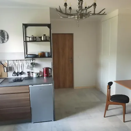 Motyl Apartamenty Studio Lub Pokoj Z Lazienka Bytom Exterior foto