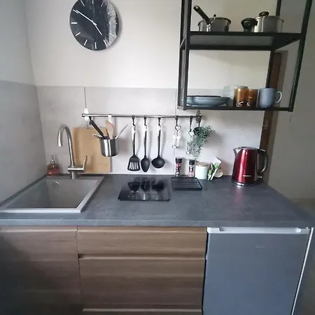 Motyl Apartamenty Studio Lub Pokoj Z Lazienka Bytom Exterior foto