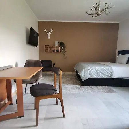 Motyl Apartamenty Studio Lub Pokoj Z Lazienka Bytom Exterior foto