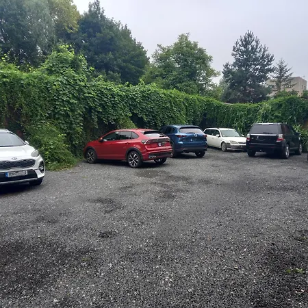 Motyl Apartamenty Studio Lub Pokoj Z Lazienka Bytom Exterior foto