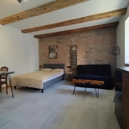 Motyl Apartamenty Studio Lub Pokoj Z Lazienka Bytom Exterior foto