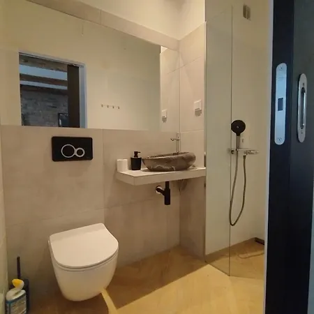 Motyl Apartamenty Studio Lub Pokoj Z Lazienka Bytom Exterior foto