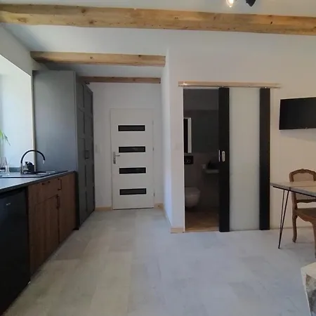 Motyl Apartamenty Studio Lub Pokoj Z Lazienka Bytom Exterior foto