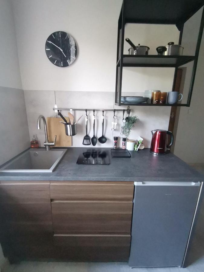 Motyl Lub Z Lazienka Apartment *